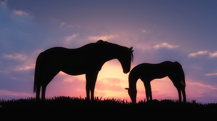 CGI, horse, silhouette, sunset