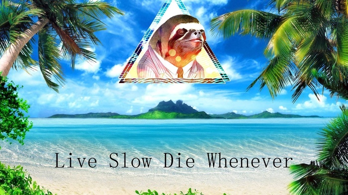 sloths