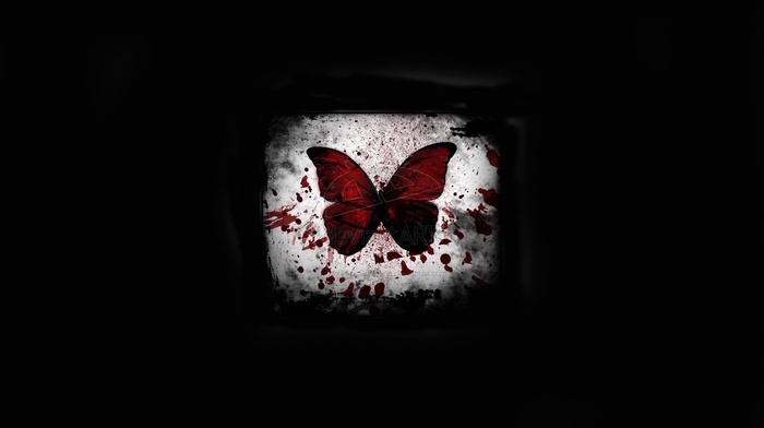 black background, light, blood, minimalism, butterfly
