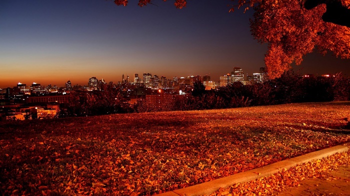 nature, sunset, fall