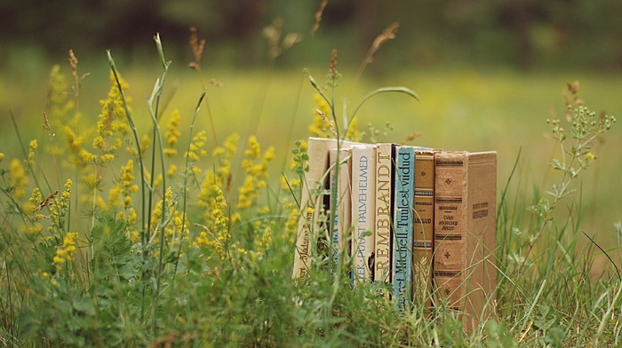 glade, greenery, books, stunner, grass, beautiful