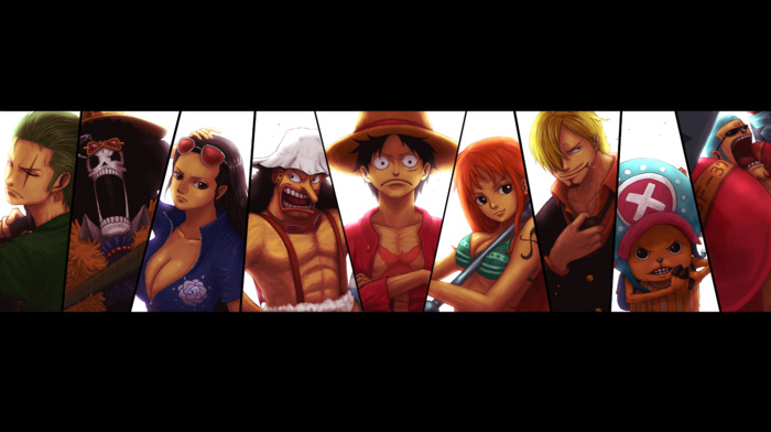 Monkey D. Luffy, Usopp, Nico Robin, Sanji, Tony Tony Chopper, One Piece, Brook, Nami, Franky, Roronoa Zoro