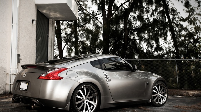 gray, cars, trees