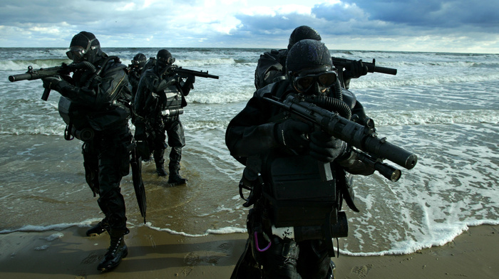 gun, sea, coast