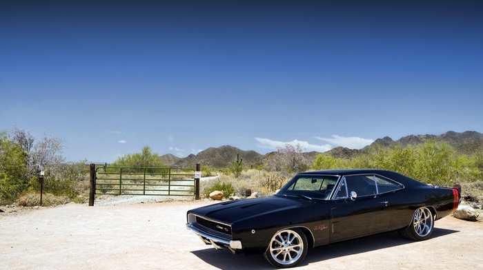 Dodge, cars