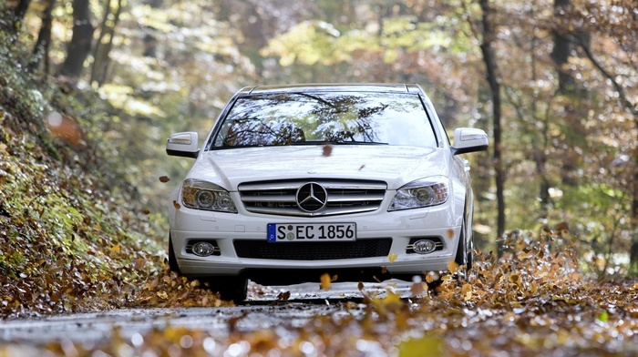 cars, road, foliage