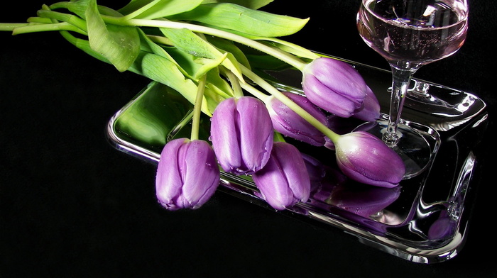 wineglass, tulips, flowers, wine