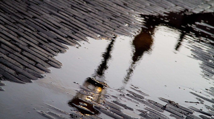 rain, reflection, cities