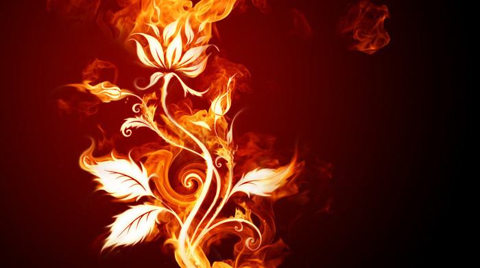 wallpaper, fire, stunner