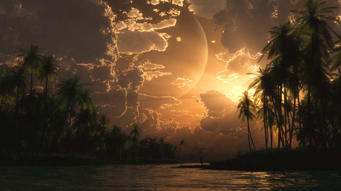 sunset, sea, palm trees, 3D