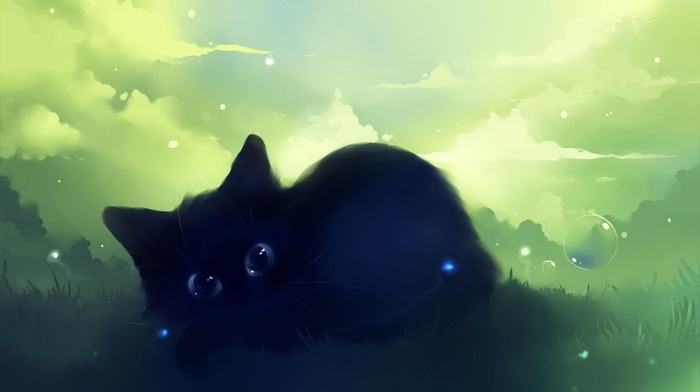 grass, animals