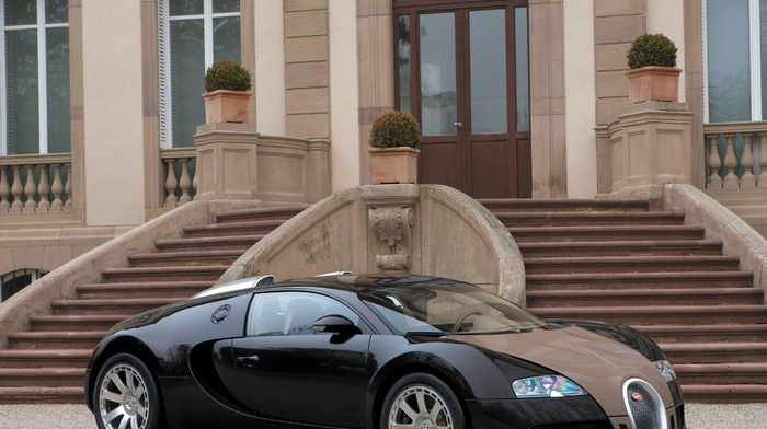 cars, Bugatti Veyron, stairs