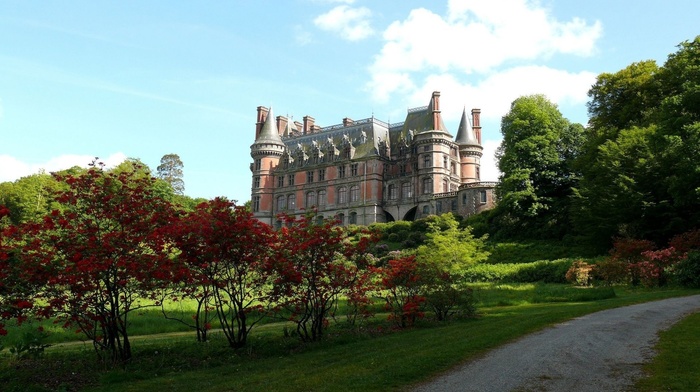 park, nature, castle, bushes, summer