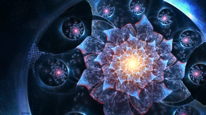 abstract, fractal, fractal flowers