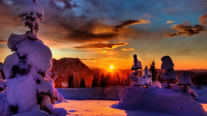 winter