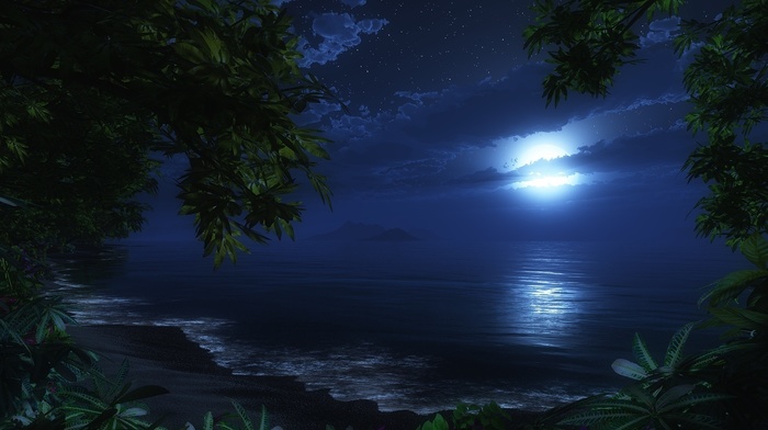 beach, 3D, night, moon