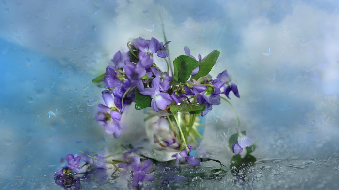 flowers, glass, drops, macro, greenery