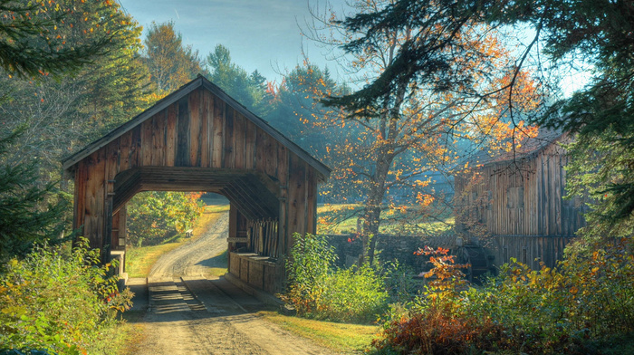 road, autumn, nature, bridge, forest, trees