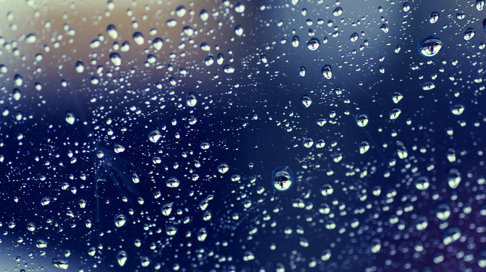 drops, rain, macro