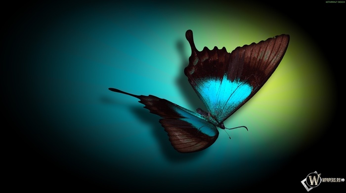 3D, butterfly, background