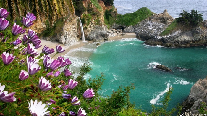 nature, bay, in, sea