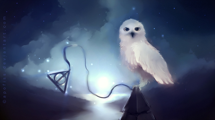 animals, background, owl