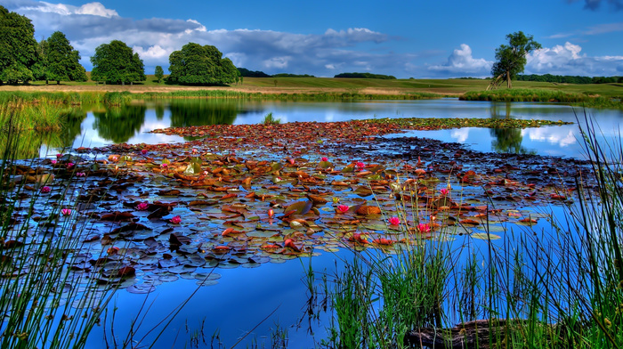 lake, nature, super