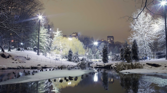 city, park, snow, trees, cities, winter