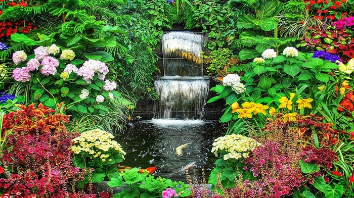 waterfall, nature, flowers