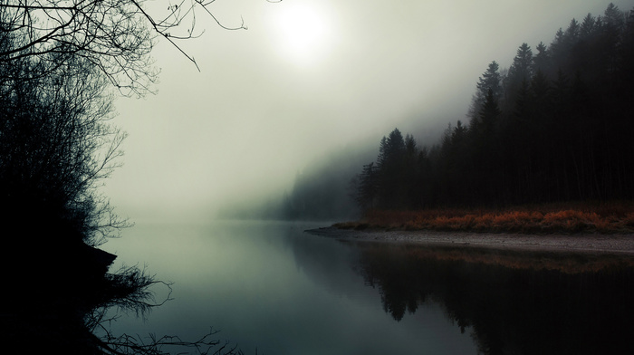 mist, nature, river, forest