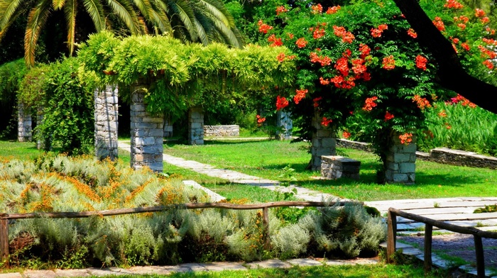 flowers, palm trees, park, nature, bushes