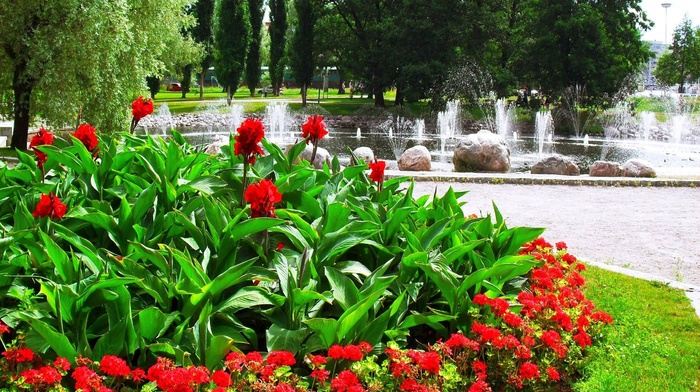 grass, nature, stones, trees, flowers