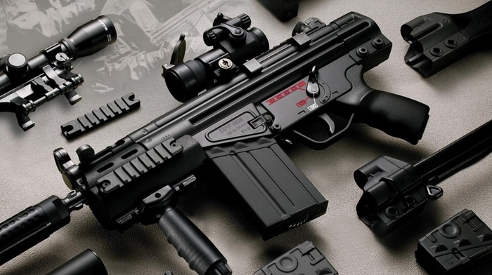 gun