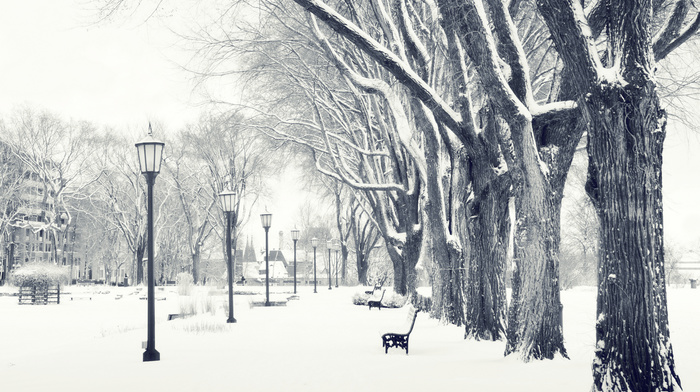 winter, snow, park