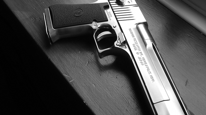 gun