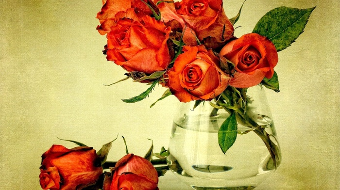 bouquet, vase, leaves, roses, flowers, water
