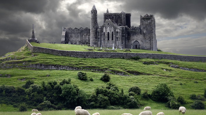 castle, hill, nature