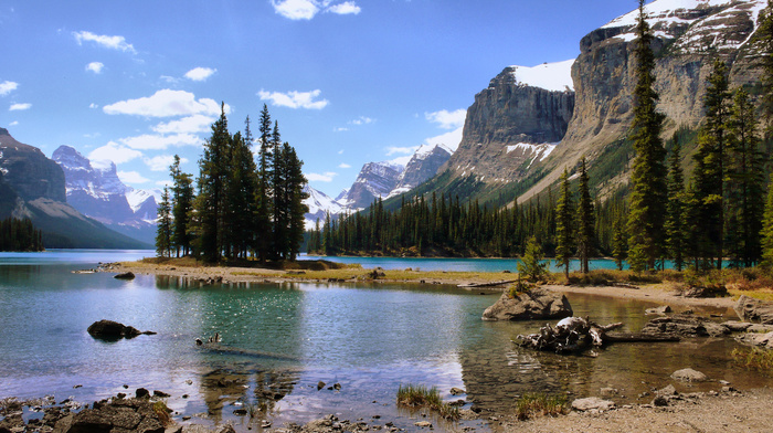 forest, nature, Canada, landscape, lake, island, mountain