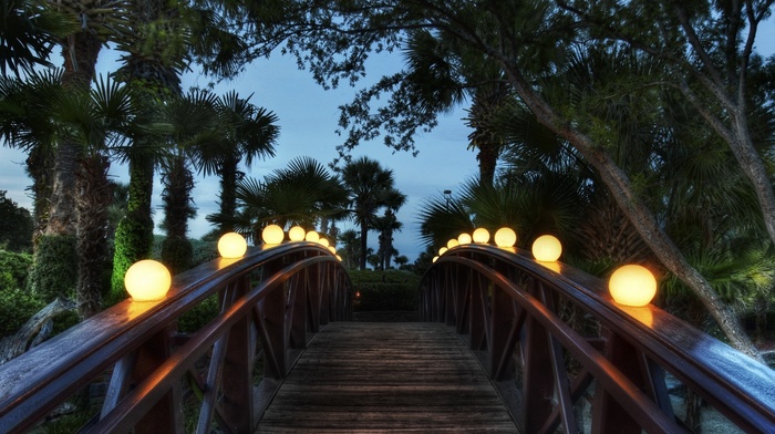 bridge, palm trees, evening, nature