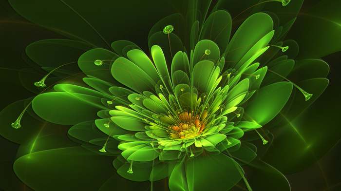 3D, flower, abstraction