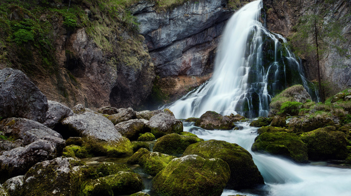 waterfall, stones, wallpaper, animals