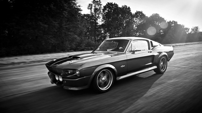 Ford Mustang Shelby, Ford Mustang, car
