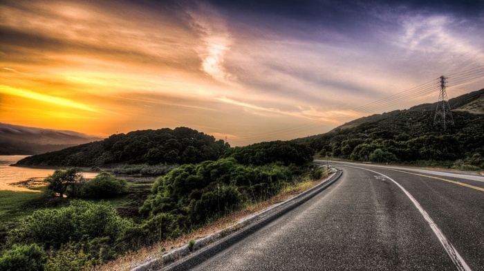 nature, road