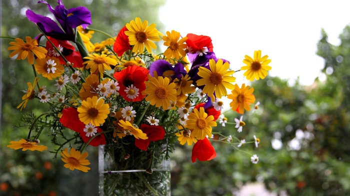 bouquet, flowers