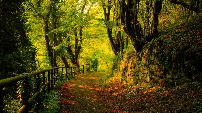 winter, road, park