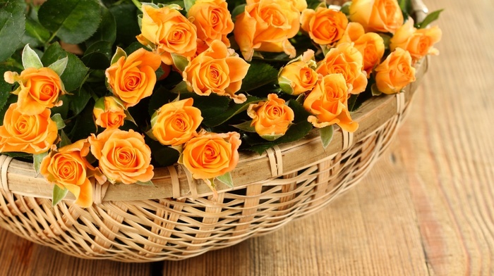 flowers, roses, bouquet, wallpaper