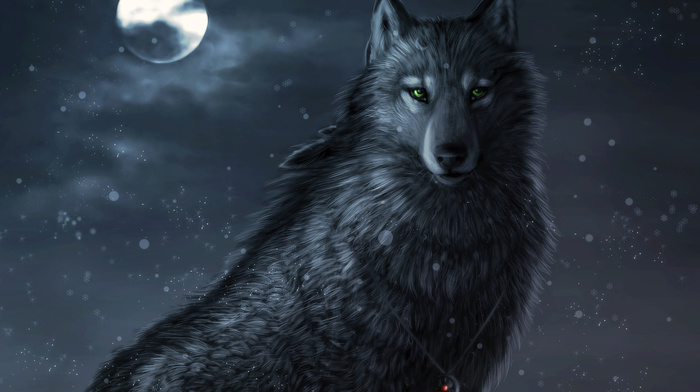 wolf, wallpaper, animals