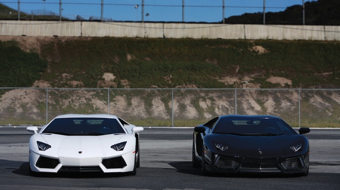 cars, Lamborghini, lamborghini, aventador