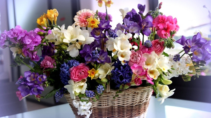 flowers, bouquet, stunner
