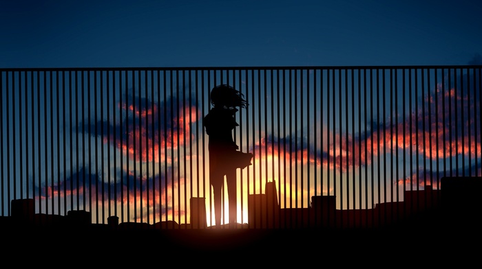 anime, sunset